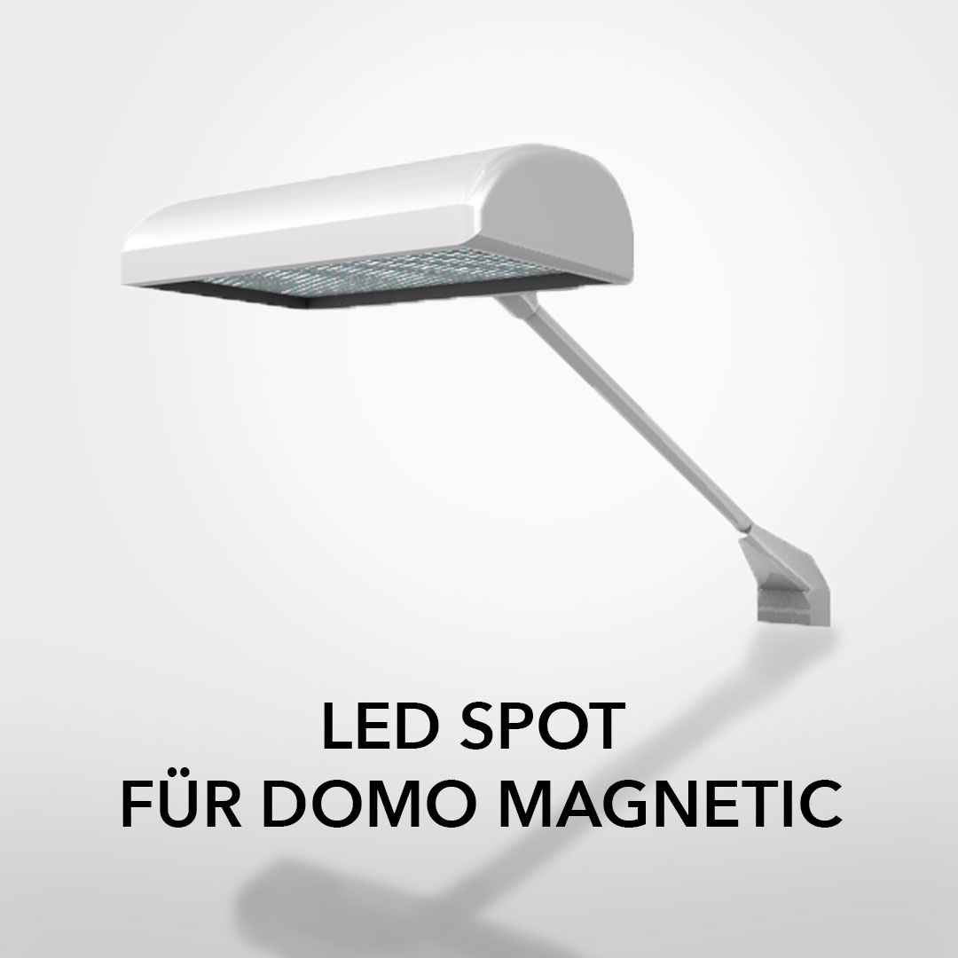 LED-Spot Domo